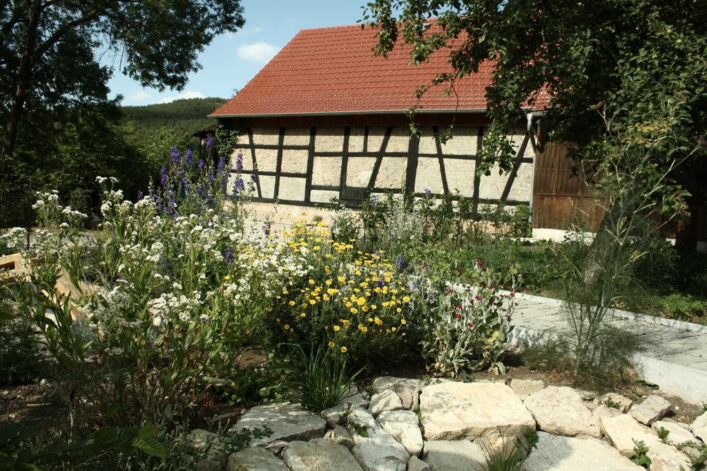 Cafe Landart Im Thueringer Finistere Lejlighed Plaue  Værelse billede