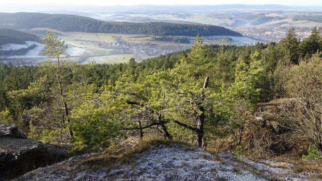 Cafe Landart Im Thueringer Finistere Lejlighed Plaue  Eksteriør billede